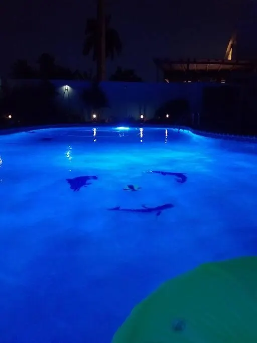 Holiday Retreat With Private Pool And Amazing Views Toa Baja