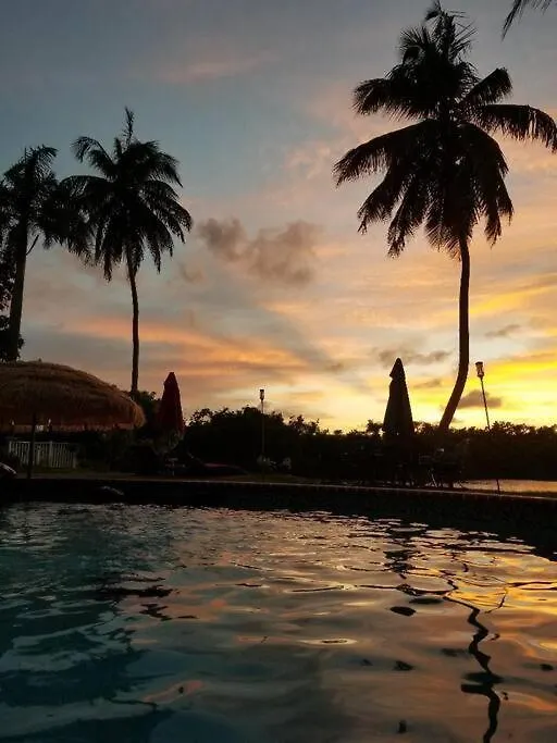 Holiday Retreat With Private Pool And Amazing Views Toa Baja